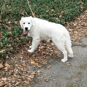 Meet your Posher, Scott